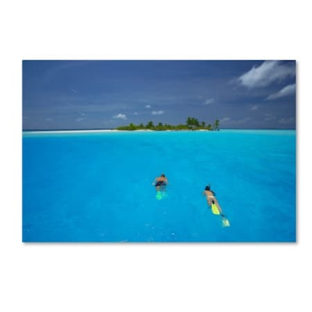 Robert Harding Picture Library 'Swimming 2' Canvas Art,16x24